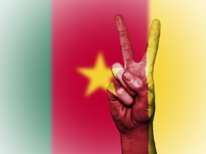 Flagge Kameruns