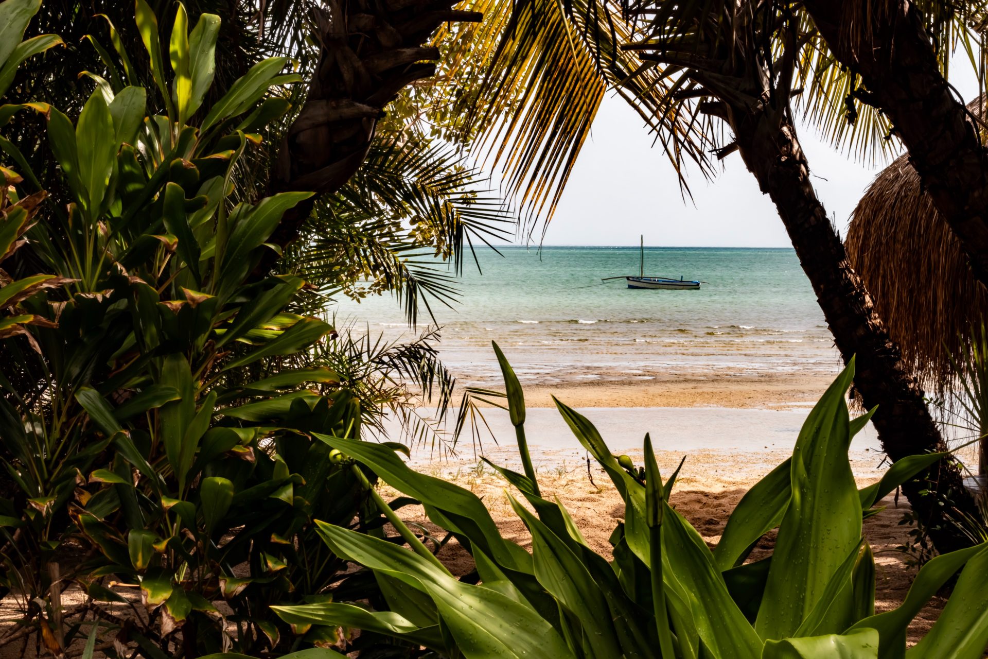 Mozambique : l'e-Visa pour faire décoller le tourisme