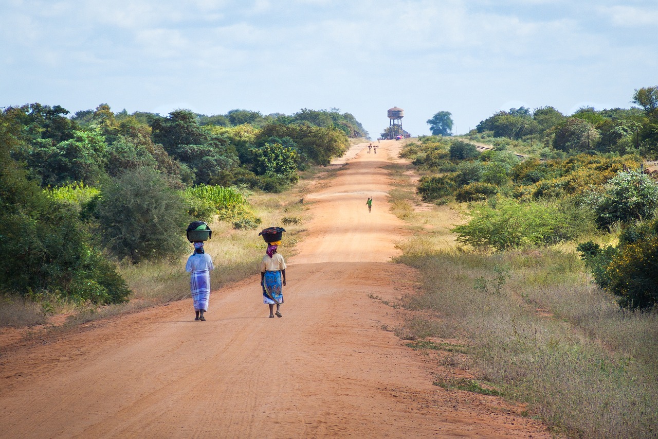 29 pays n'ont plus besoin de visa pour voyager au Mozambique