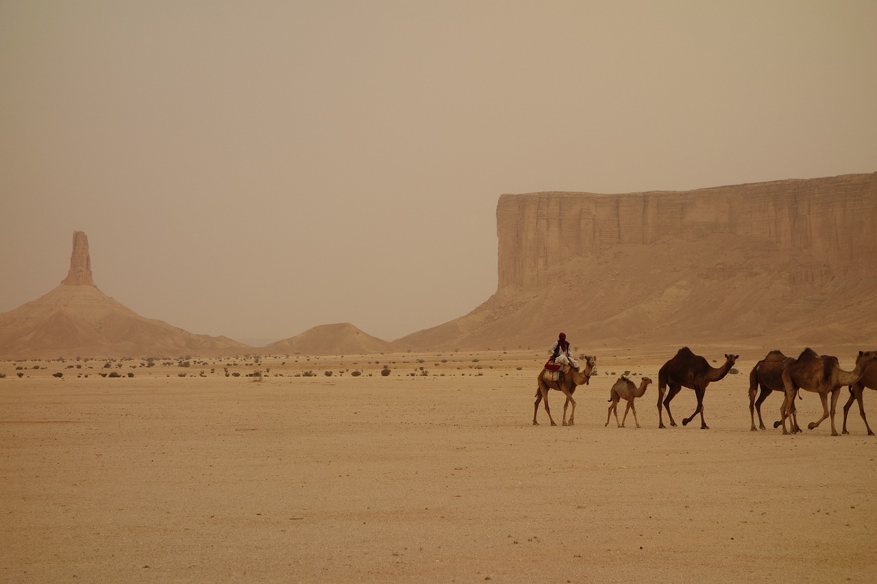 camel train, saudi arabia, ramadan