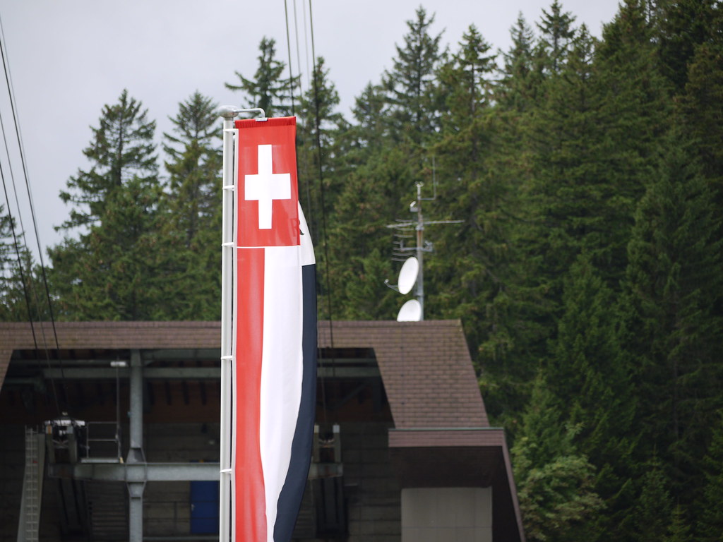 drapeau suisse pour un alignement de la digitalisation des visas