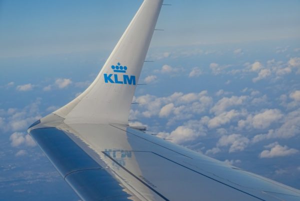 Voyager avec un animal sur KLM