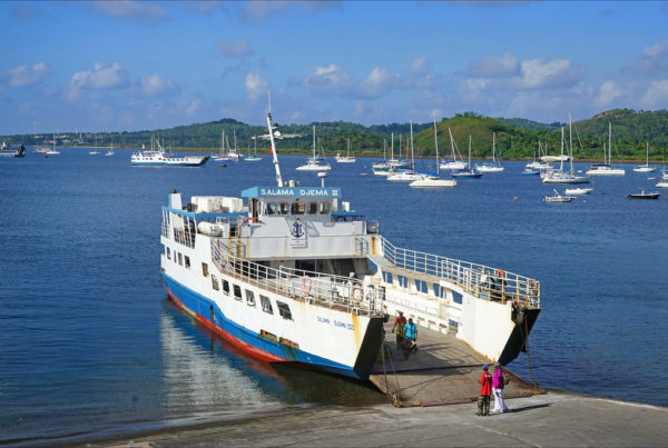 Visa territorialisé de Mayotte