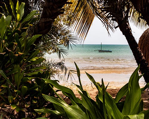 Photo Mozambique